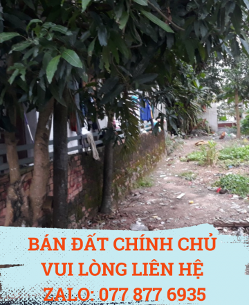 Tùng""