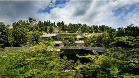 BẤT ĐỘNG SẢN DƯỠNG LÃO – XU HƯỚNG ĐẦU TƯ MỚI TẠI VIỆT NAM TRONG 10 NĂM TỚI