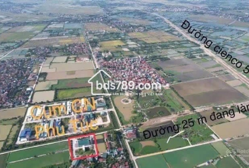 Bán lô đất đấu giá Lưu Đông, Phú Túc, Phú Xuyên