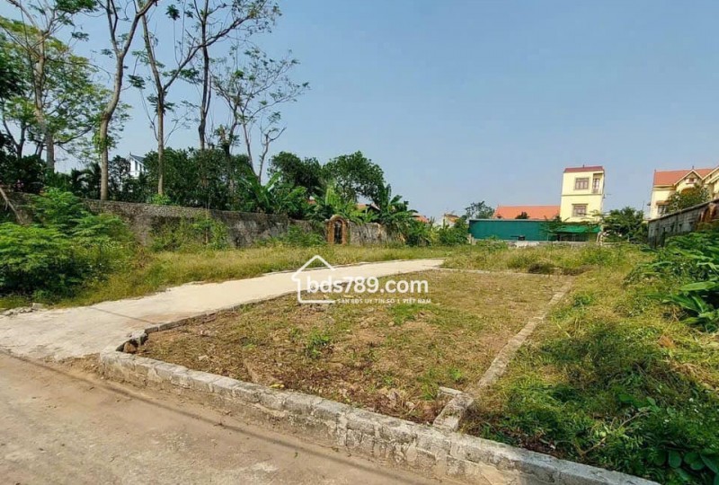 Đất Phân Lô Đá Ong – Tự Nhiên – Thường Tín