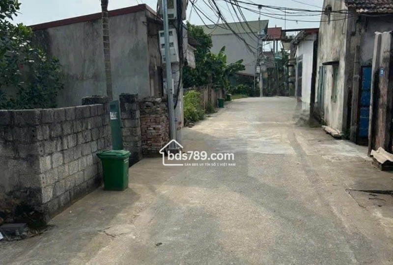 Bán Đất Mặt Đường Kinh Doanh - Thôn Tri Chỉ, Tri Trung, Phú Xuyên, Hà Nội