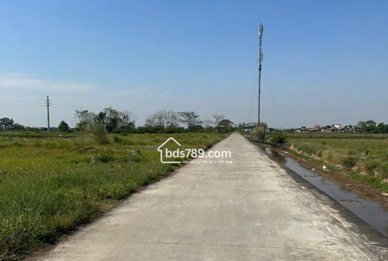 Bán Đất Trục Chính Đường Liên Xã - Phúc Tiến - Phú Xuyên - Hà Nội