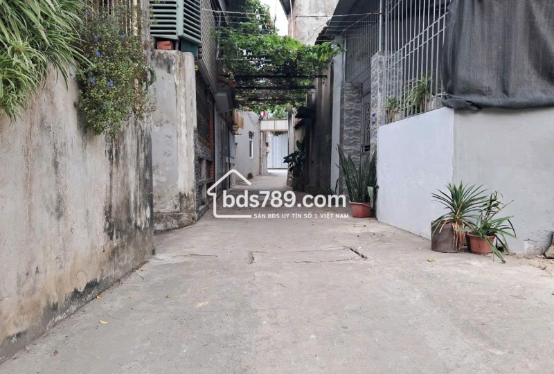 Cần Bán Gấp Đất Xóm Đường, Xã Đại Yên - Chương Mỹ - Hà Nội