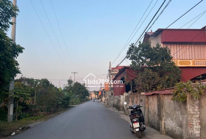 Bán Đất Hoa Hậu Trục Chính Nam Quất - Nam Triều - Phú Xuyên - Hà Nội