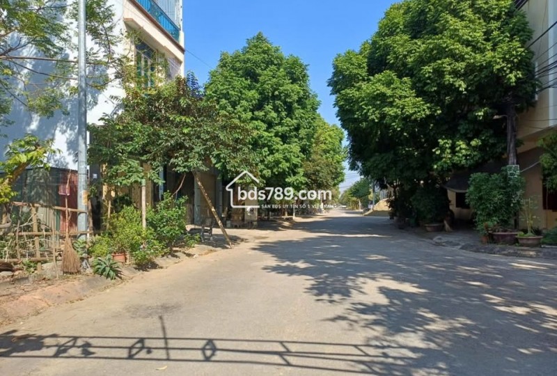 Bán đất giá rẻ Phường Đông Hải TP Thanh Hóa – 85m² mặt tiền 5m, đường 15.5m