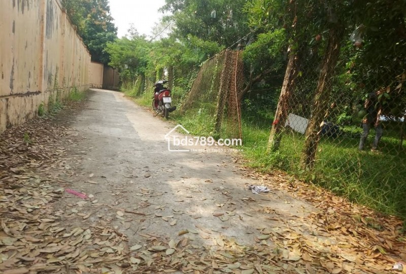 Bán 1000m² đất vườn, xã Kim Sơn, huyện Châu Thành, Tiền Giang