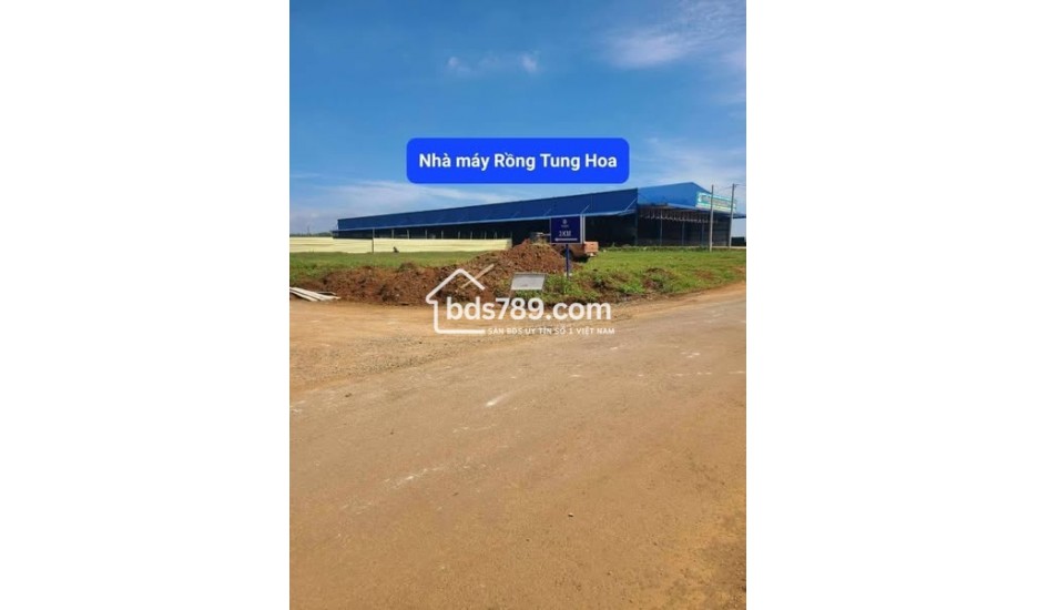 MỞ BÁN 3 CĂN NHÀ HẺM 01 LẠC LONG QUÂN, THẮNG LỢI, PLEIKU