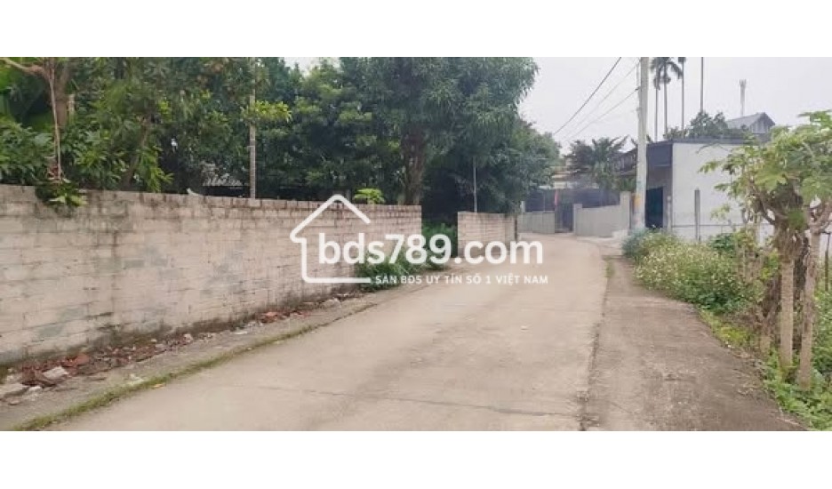 BÁN ĐẤT 256M² MẶT TIỀN 12M – NAM PHƯƠNG TIẾN, CHƯƠNG MỸ, HÀ NỘI