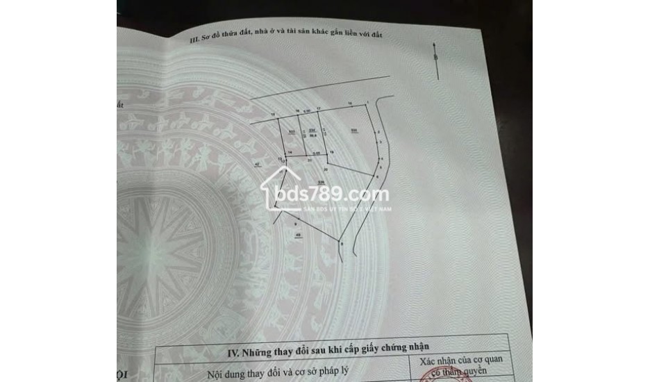 BÁN NHANH LÔ ĐẤT MẶT ĐƯỜNG TRỤC CHÍNH XÃ KIM AN – THANH OAI