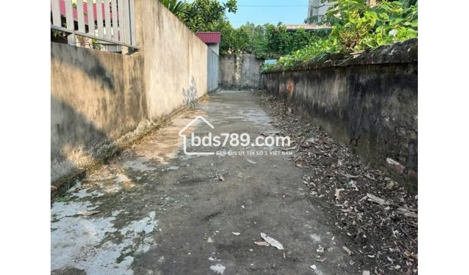 BÁN LÔ ĐẤT GIÁ RẺ – SINH QUẢ, BÌNH MINH – CÒN DUY NHẤT