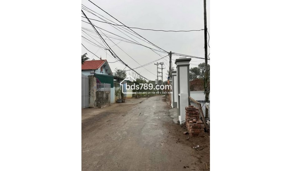 BÁN NHANH LÔ ĐẤT MẶT ĐƯỜNG TRỤC CHÍNH XÃ KIM AN – THANH OAI