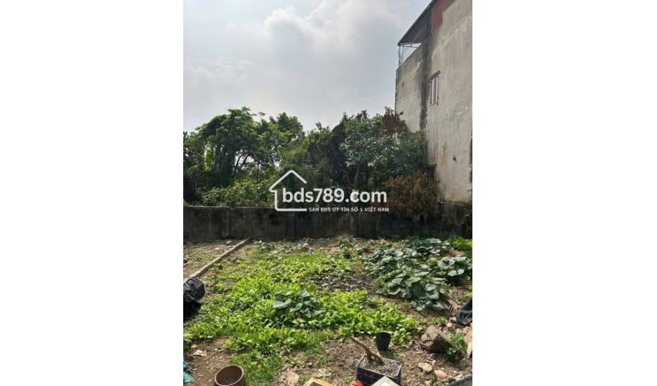 BÁN LÔ ĐẤT GIÁ RẺ – SINH QUẢ, BÌNH MINH – CÒN DUY NHẤT