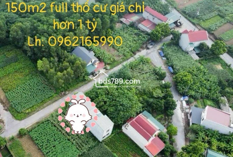Bán đất TĐC Kim Đức - Gần chợ Ba Hàng