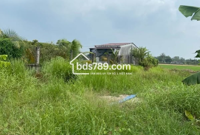 Bán Đất Vườn 500m² - Ấp 4, Nhựt Chánh, Bến Lức, Long An - Giá Chỉ 800 Triệu