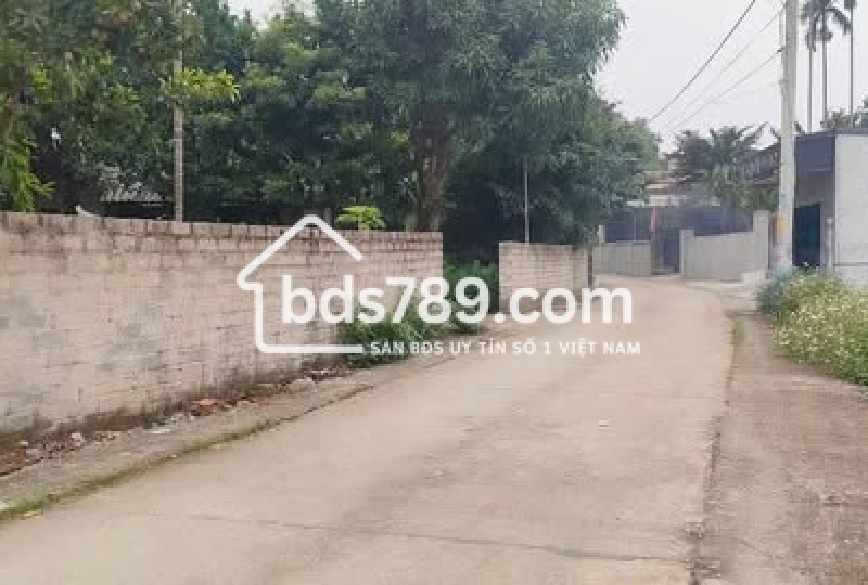 BÁN ĐẤT 256M² MẶT TIỀN 12M – NAM PHƯƠNG TIẾN, CHƯƠNG MỸ, HÀ NỘI