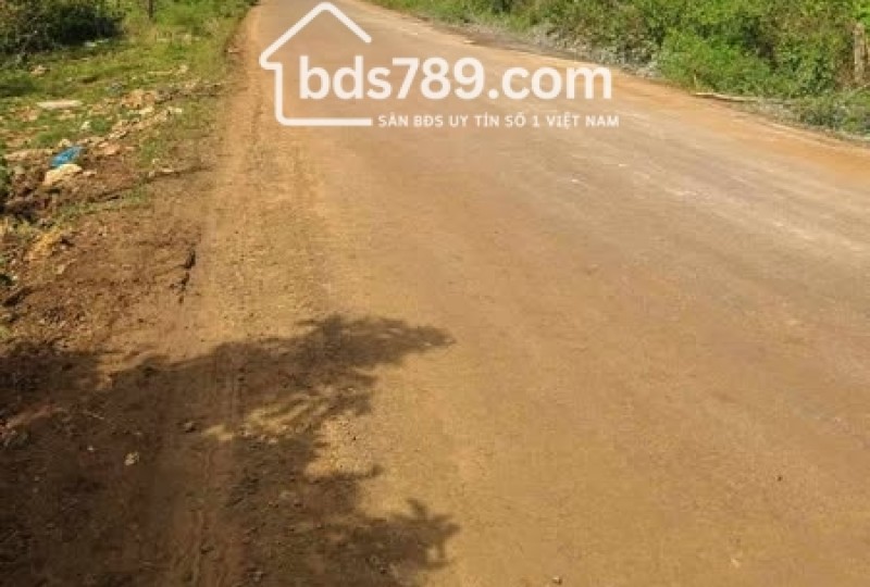 MỞ BÁN 3 CĂN NHÀ HẺM 01 LẠC LONG QUÂN, THẮNG LỢI, PLEIKU