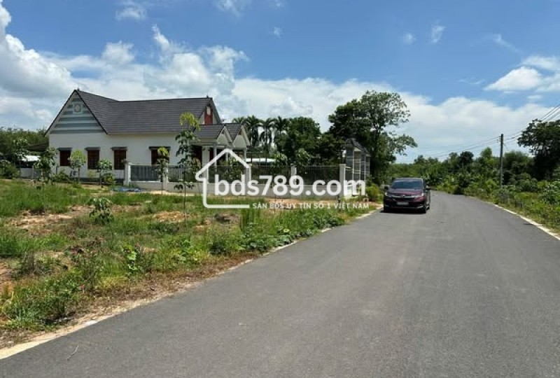 BÁN ĐẤT LONG TÂN, DẦU TIẾNG, BÌNH DƯƠNG – 249M², MẶT TIỀN NHỰA 6M, SỔ HỒNG RIÊNG