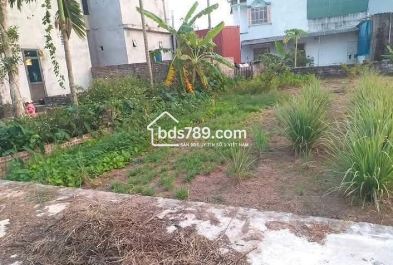BÁN LÔ ĐẤT DUY NHẤT – GIÁ CHỈ 3XX TRIỆU – THANH XUÂN, THANH HÀ
