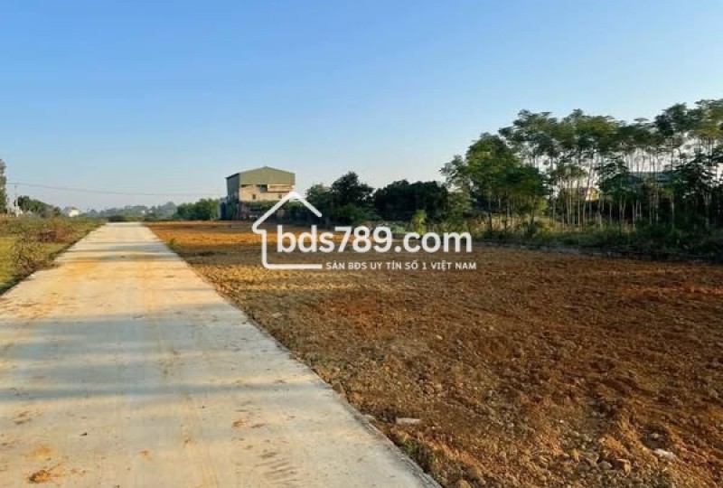 CẦN THANH KHOẢN LÔ GÓC 2 MẶT THOÁNG – HÒA THẠCH, QUỐC OAI
