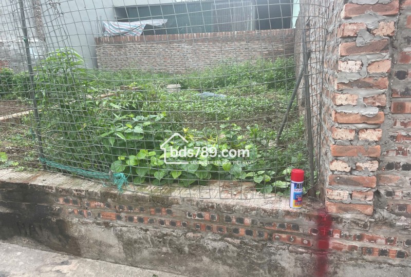 BÁN LÔ ĐẤT 42.6M² TẠI THIÊN ĐÔNG - MỸ HƯNG, THANH OAI - VỊ TRÍ ĐẸP, GIÁ TỐT