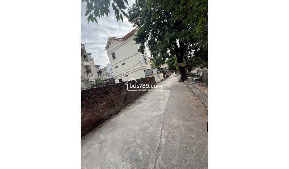 ĐẤT ĐẸP ĐA SỸ – Ô TÔ ĐỖ CỬA – GIÁ NHỈNH 7 TỶ