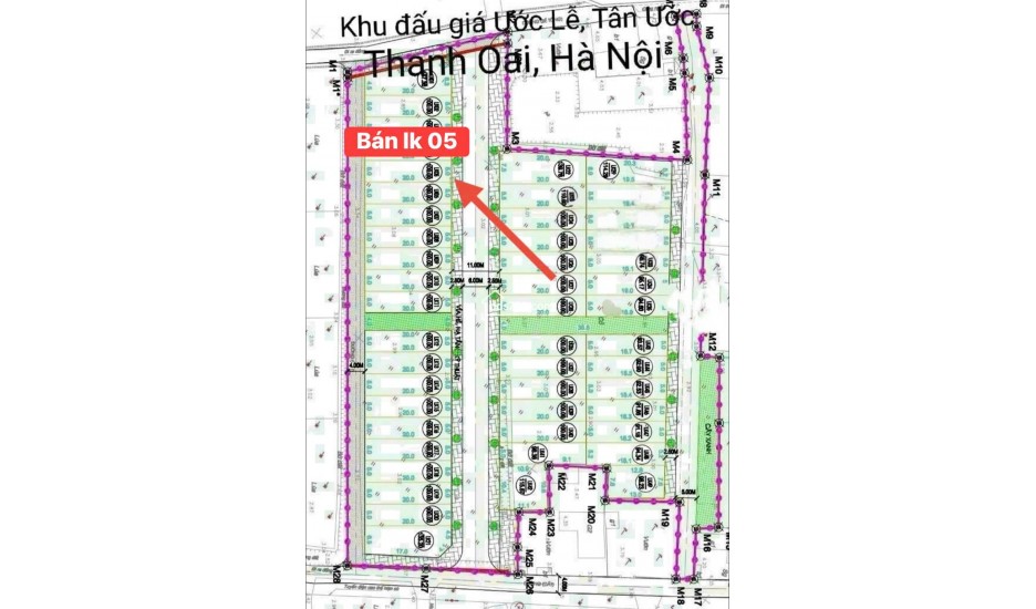 Bán đất khu đấu giá Trại Chăn Nuôi Dân Hòa Thanh Oai – hai mặt đường, gần Cienco5, giá 60 triệu mỗi mét