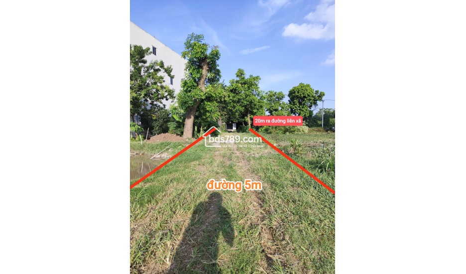 Bán đất thổ cư Phượng Dực Hoàng Long Hà Nội – đường 5m, gần Cienco5, giá chỉ 22 triệu mỗi mét