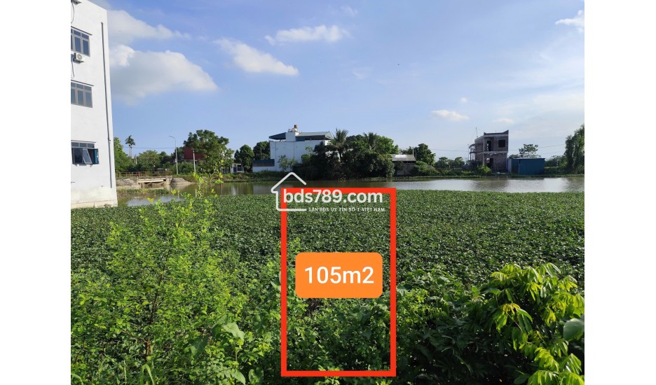 Bán đất thổ cư Phượng Dực Hoàng Long Hà Nội – đường 5m, gần Cienco5, giá chỉ 22 triệu mỗi mét