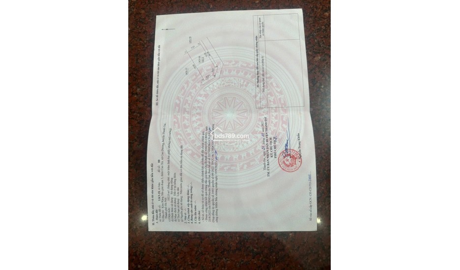 Bán lô góc đẹp khu đấu giá Dân Hòa Cao Dương Thanh Oai Hà Nội – vị trí siêu đẹp, tiềm năng sinh lời cao