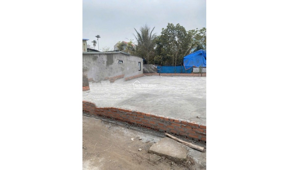 Bán đất Bùi Xá Tam Hưng Thanh Oai – 88m² mặt tiền rộng, vị trí cực đẹp, tiềm năng sinh lời cao