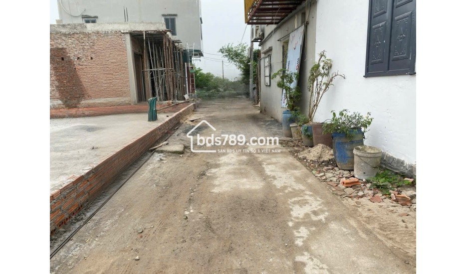 Bán đất Bùi Xá Tam Hưng Thanh Oai – 88m² mặt tiền rộng, vị trí cực đẹp, tiềm năng sinh lời cao