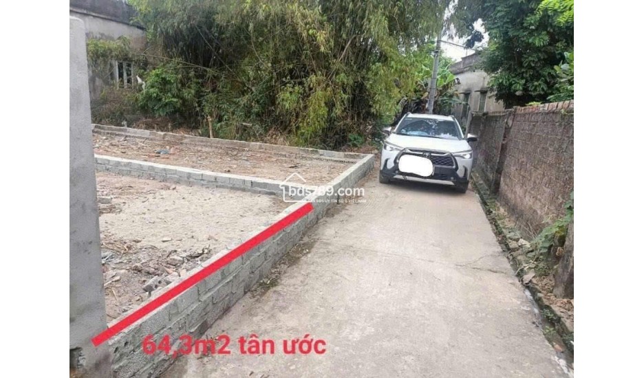 Bán đất Bùi Xá Tam Hưng Thanh Oai – 88m² mặt tiền rộng, vị trí cực đẹp, tiềm năng sinh lời cao