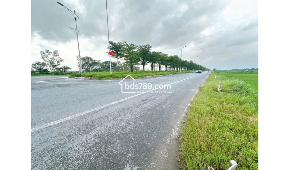 Bán đất khu đấu giá Trại Chăn Nuôi Dân Hòa Thanh Oai – hai mặt đường, gần Cienco5, giá 60 triệu mỗi mét