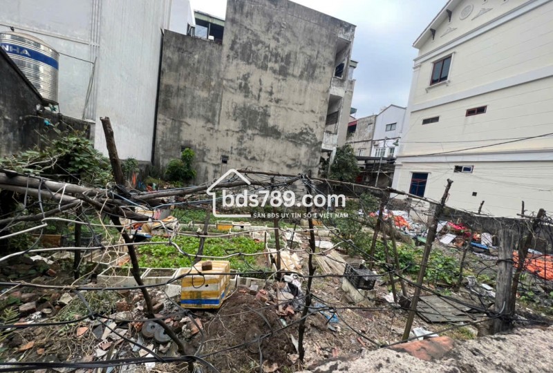 ĐẤT ĐẸP ĐA SỸ – Ô TÔ ĐỖ CỬA – GIÁ NHỈNH 7 TỶ