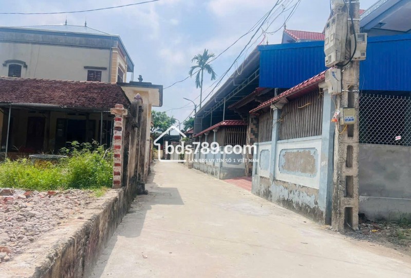 BÁN ĐẤT TÂN MINH – THƯỜNG TÍN – HÀNG HIẾM TRỤC CHÍNH – ĐƯỜNG GẦN 5M – GIÁ 3,1 TỶ