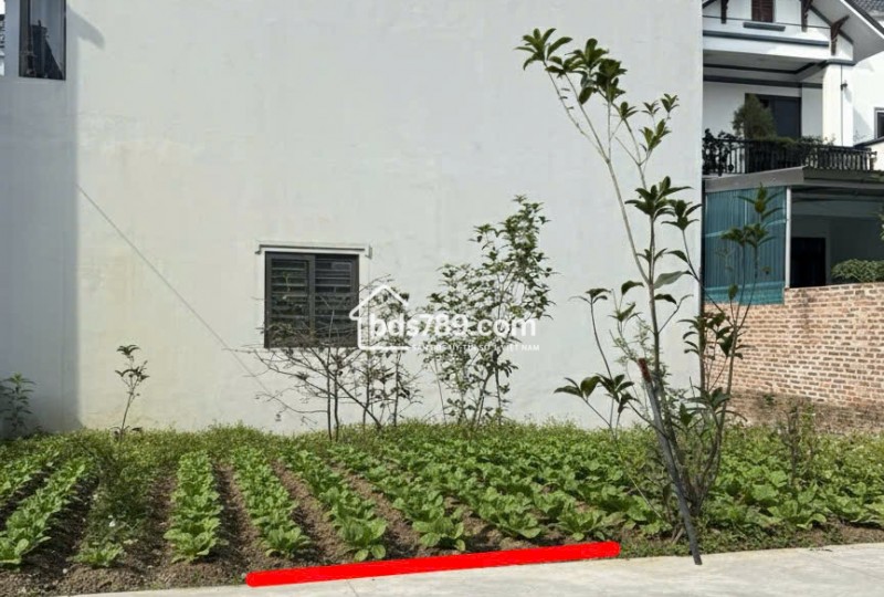 Cần bán lô đất tại Thanh Oai, vị trí thuận tiện di chuyển về Hà Đông.