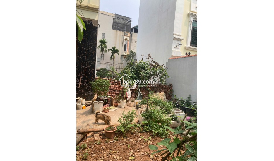 BÁN NHÀ CỔ BẢN – ĐỒNG MAI, HÀ ĐÔNG, GIÁ TỐT