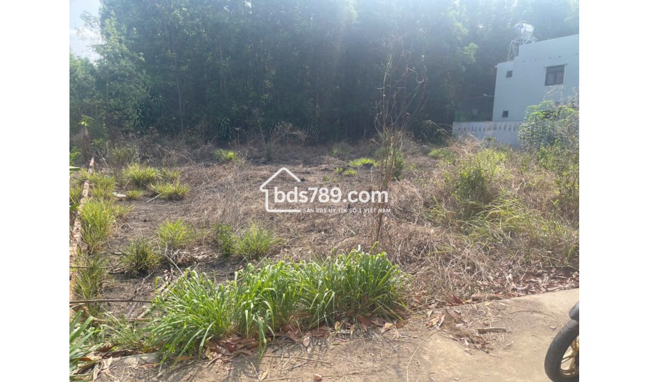 CÒN 4 LÔ DUY NHẤT – AN VIỄN, TRẢNG BOM