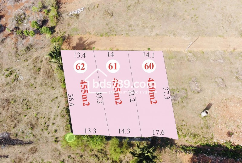 Bán Đất Vườn Tại Thị Trấn Vĩnh An , Đồng Nai