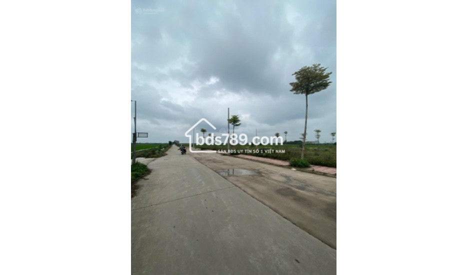 BÁN ĐẤT ĐẤU GIÁ KHU BÀ HÒA 2 – THÔN PHONG TRIỀU, XÃ NAM PHONG, PHÚ XUYÊN, HÀ NỘI