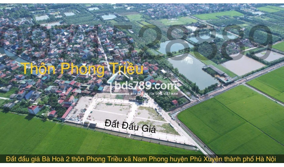 BÁN ĐẤT ĐẤU GIÁ KHU BÀ HÒA 2 – THÔN PHONG TRIỀU, XÃ NAM PHONG, PHÚ XUYÊN, HÀ NỘI
