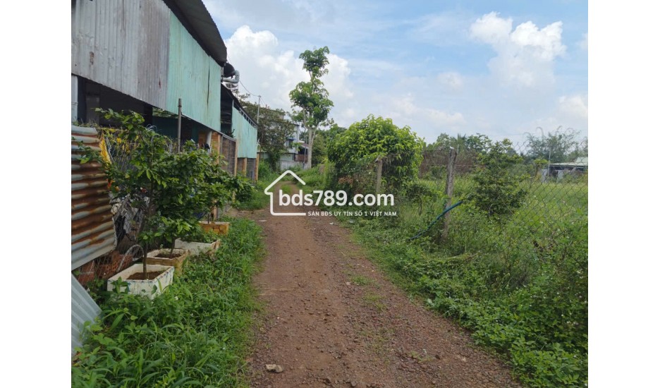 390 TRIỆU SỞ HỮU ĐẤT THỔ CƯ GẦN KCN DẦU GIÂY – SỔ RIÊNG 122M²