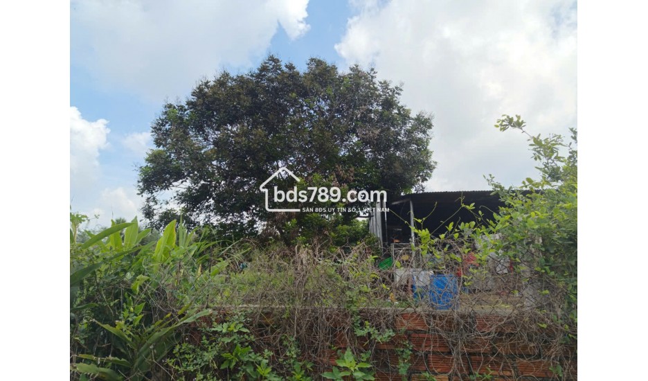 ĐẤT XUÂN QUẾ - DẦU GIÂY CHỈ 420 TRIỆU | 122m² CÓ THỔ CƯ
