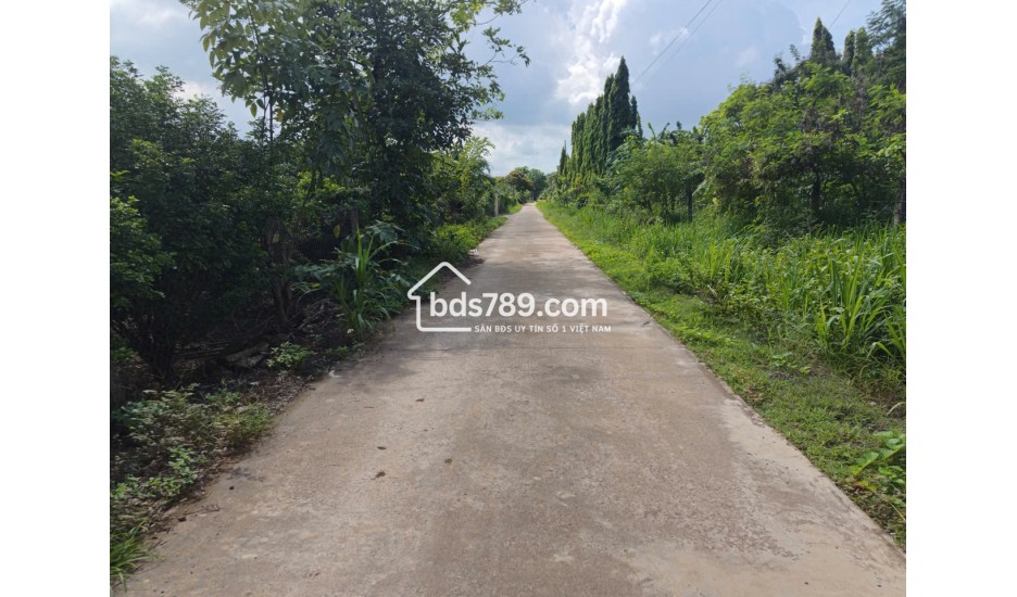 ĐẤT XUÂN QUẾ - DẦU GIÂY CHỈ 420 TRIỆU | 122m² CÓ THỔ CƯ