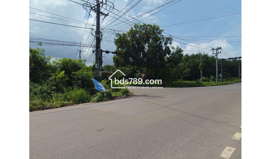 ĐẤT XUÂN QUẾ - DẦU GIÂY CHỈ 420 TRIỆU | 122m² CÓ THỔ CƯ