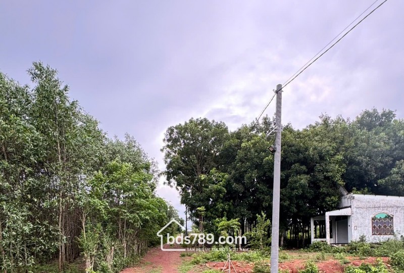 520 Triệu Có Ngay 645m² Đất Gần Hồ Trị An, Cách Trung Tâm 2km
