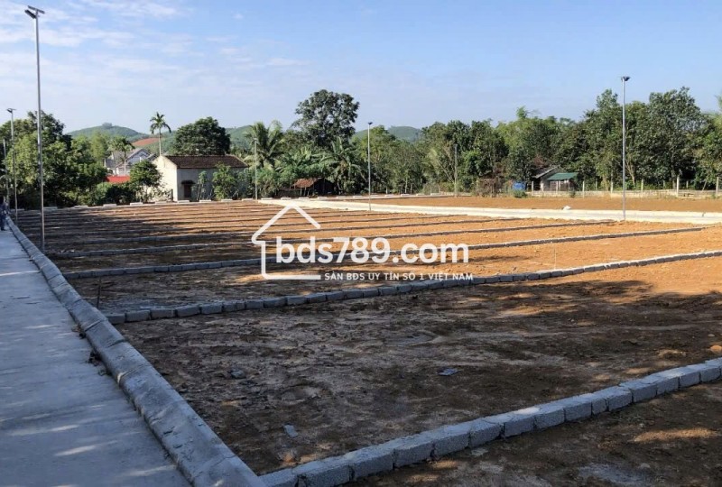 Chuyển nhượng 2 lô đất tại Thạch Thành giá 140 triệu/lô