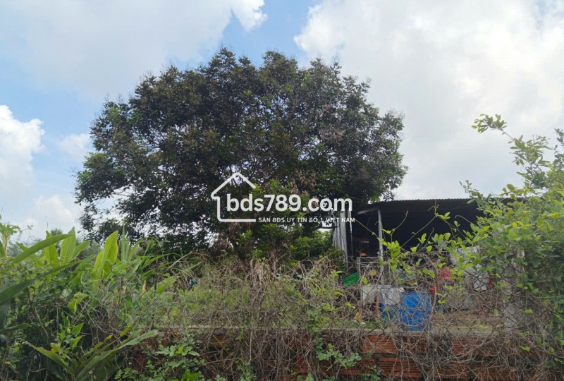 ĐẤT XUÂN QUẾ - DẦU GIÂY CHỈ 420 TRIỆU | 122m² CÓ THỔ CƯ